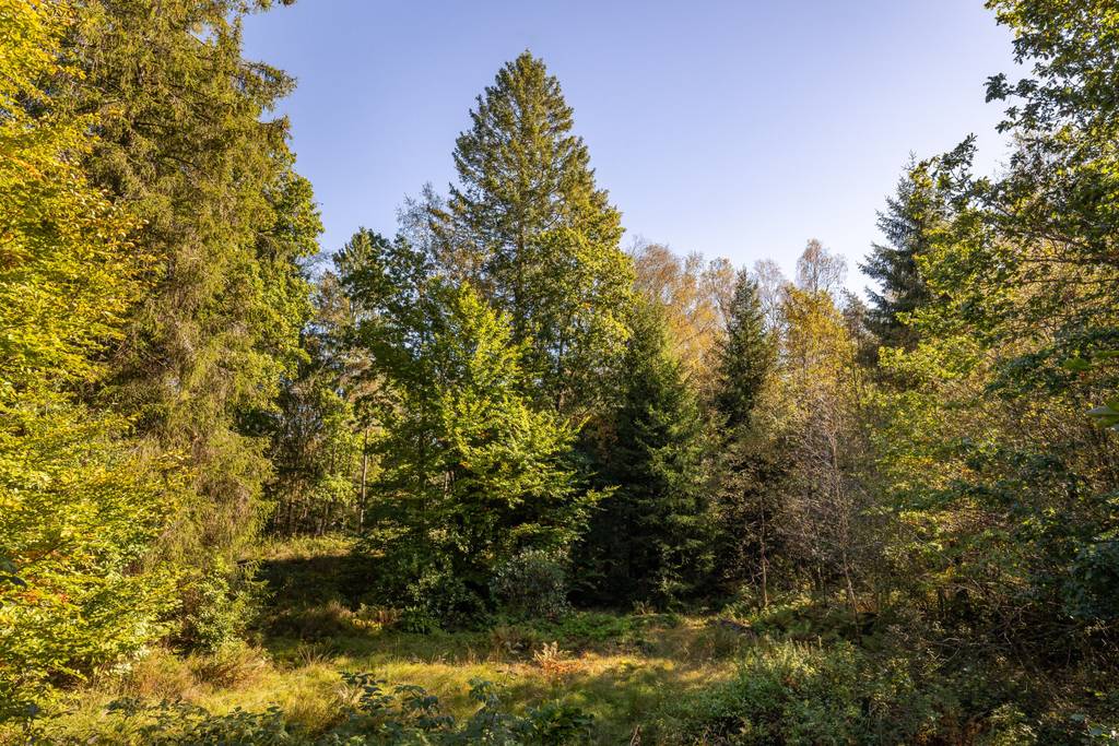 Bergums furåsväg 8, Olofstorp